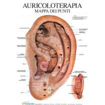Mappa auricolare in formato A4