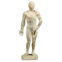 Small fiberglass human model 26cm