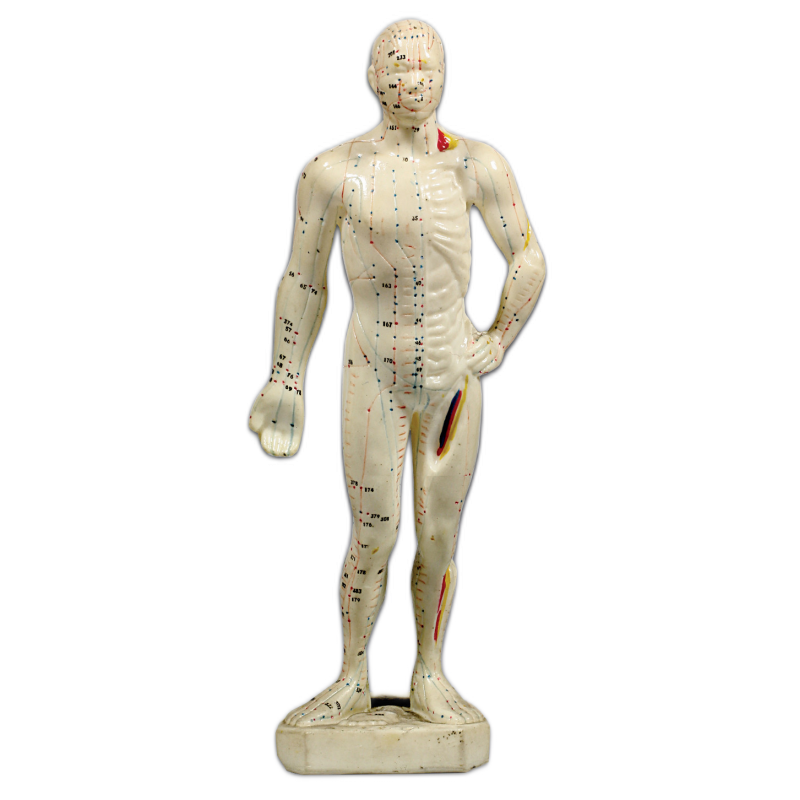 Small fiberglass human model 26cm