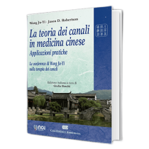 Channel Theory in Chinese Medicine Practical Applications