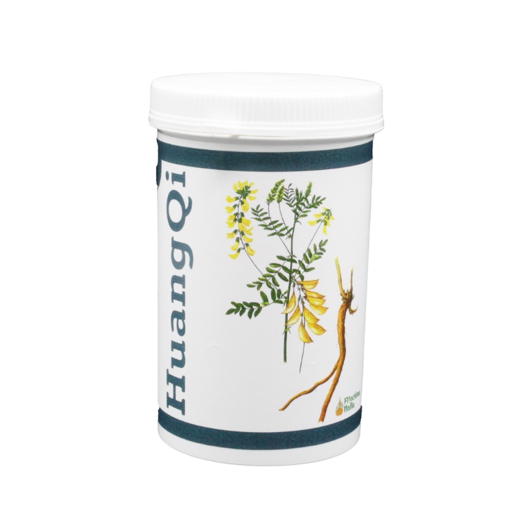 Huangqi pianta medicinale cinese 