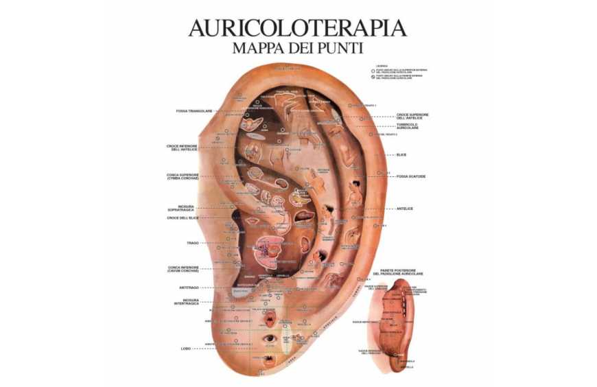 Auricoloterapia: Come la Medicina Cinese Trasforma la Tua Salute attraverso l’Orecchio